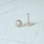 Piercing hélix Zehia - Vignette | piercing-house