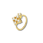 piercing nez anneau brillant - Vignette | piercing-house