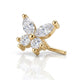 Piercing nez papillon