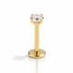 Piercing tragus brillant