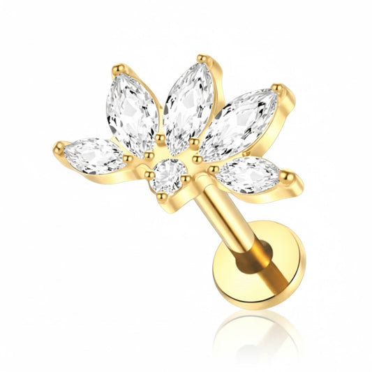 Piercing tragus vénus