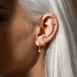 Composition Orion - Vignette | piercing-house