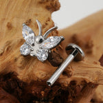 Piercing conch papillon - Vignette | piercing-house