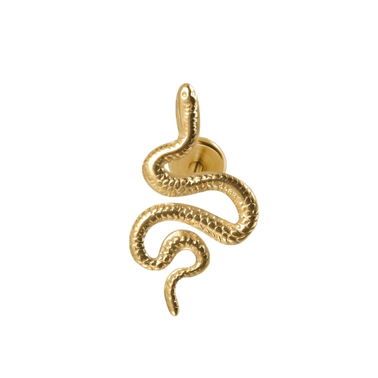 Piercing conch serpent