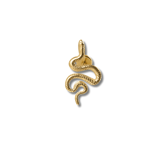 Doré Piercing conch serpent