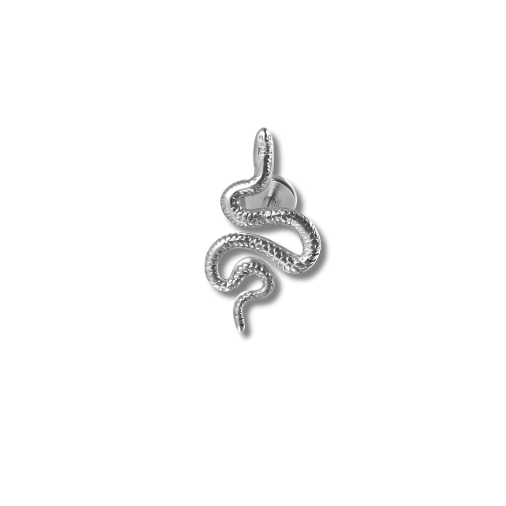 Argenté Piercing conch serpent