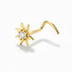 piercing nez fantaisie