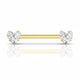 piercing téton titane