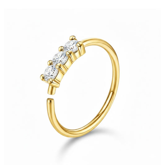 piercing nez anneau discret